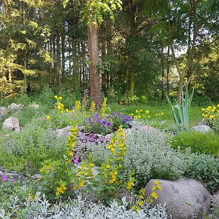 Holiday home Dom W Krainie Bugu Korczew