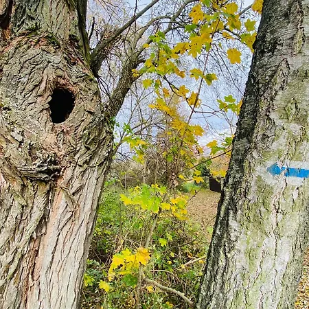 Dom W Krainie Bugu 度假居