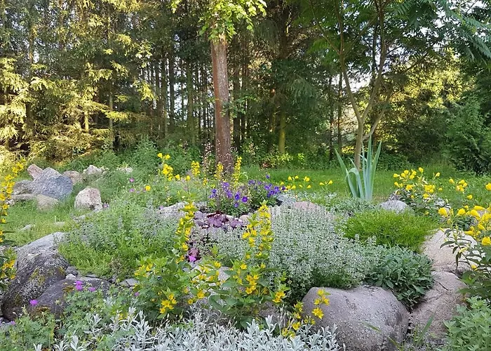 Holiday home Dom W Krainie Bugu Korczew